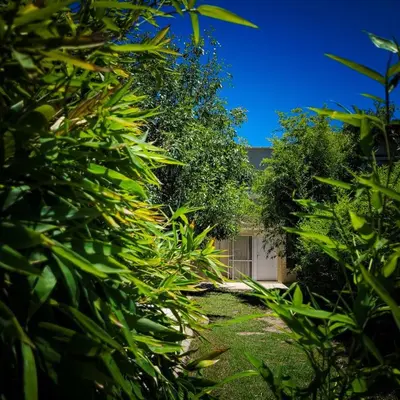 a garden with green plants and a building at Casa Moraa in Nono