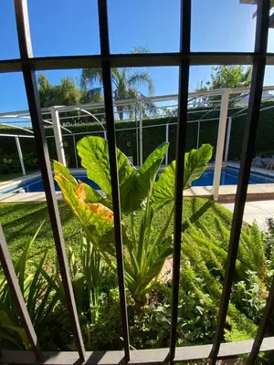 a window view of a plant in a garden at Chalet Espectacular in Villa Carlos Paz