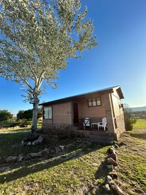 a small house with a tree in front of it at Cabaña Alamo in Mina Clavero