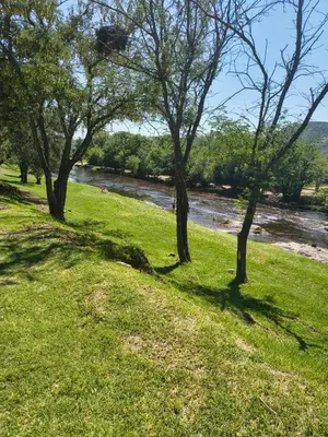 a group of trees in the grass next to a river at Nuevos Aires de San Antonio in San Antonio de Arredondo