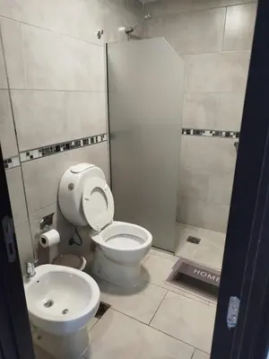 a bathroom with a toilet and a sink at Departamento MIRALEJOS 14 in Villa Carlos Paz