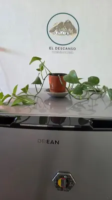 a potted plant sitting on top of a refrigerator at El descanso casita en alquiler in Taninga