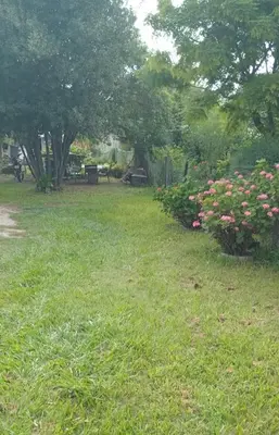 a yard with pink flowers in the grass at La casa de Los Abuelos in La Bolsa