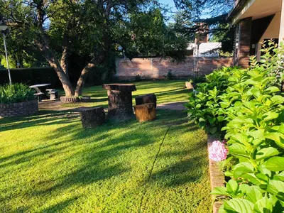 a garden with two trees and a bench in the grass at Casa frente al rio San Antonio Playas de Oro Villa Carlos Paz in Villa Carlos Paz