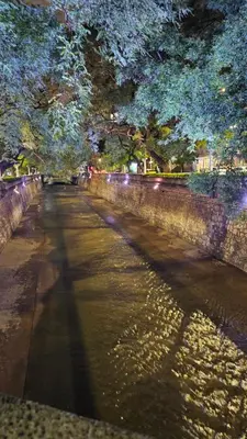 a tree hanging over a street at night at Terrazas de San Juan in Cordoba