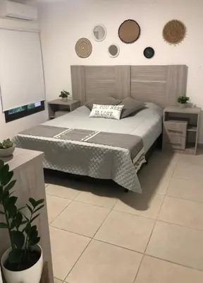 a bedroom with a bed and two tables and a plant at Terra Bella PA in Villa Carlos Paz