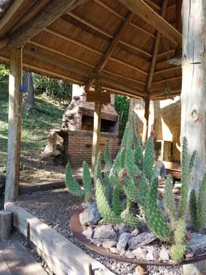 a group of cactuses in a garden under a pavilion at Cabañas Cuñas del Trapiche in Trapiche