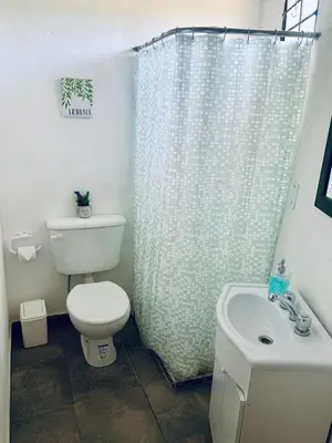 a bathroom with a toilet and a shower curtain at La Casona de Tanti in Tanti