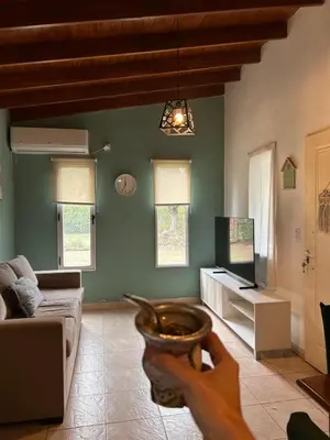 a person holding a bowl in a living room at 