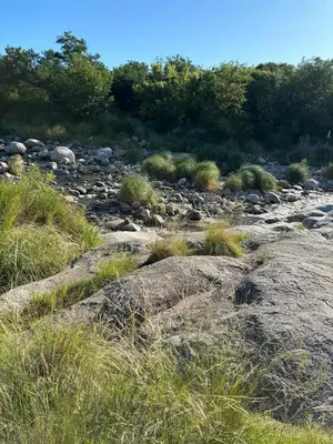a rocky field with grass and rocks and bushes at El Ashva casa de campo y santuario de caballos in Las Calles