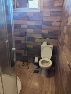 a bathroom with a toilet and a shower at La soñada in Villa Santa Cruz del Lago