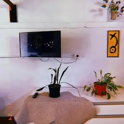 Departamento katzen