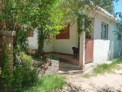 a black dog standing in the doorway of a house at Casa jazmines in Villa Santa Cruz del Lago