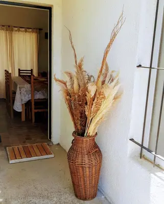 a vase with a plant in it next to a wall at Casa Emilia Tanti in Tanti