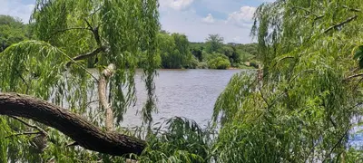 a view of a river through the branches of trees at La casa de Los Patitos in Arroyo de Los Patos