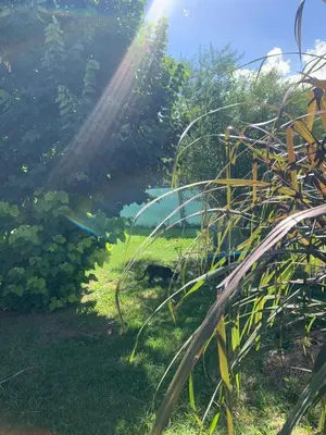 a view of a body of water with the sun shining at El despertar Hospedaje in San Francisco del Monte de Oro