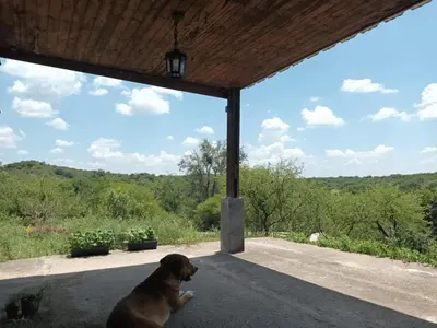 a dog sitting in the shade of a pavilion at Tinkunaco Alta Gracia in Alta Gracia