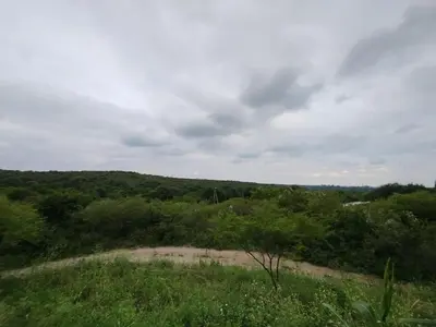 a view from the top of a hill with trees at Tinkunaco Alta Gracia in Alta Gracia