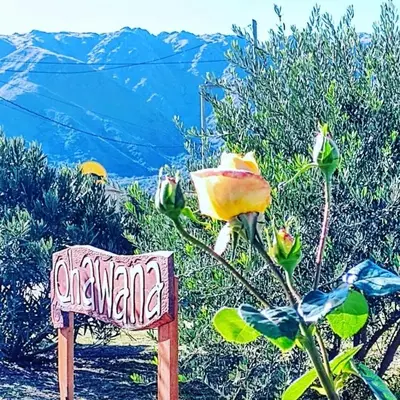 a pink chair sitting next to a flower and mountains at Cabañas Qhawana in Carpintería