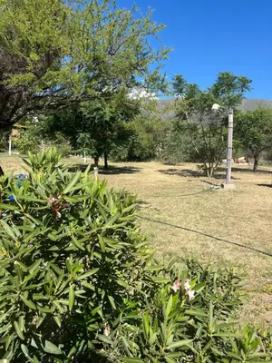 a bush with pink flowers in a field at Cabañas Qhawana in Carpintería