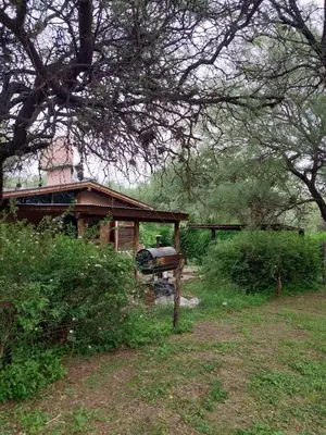 a house in a field next to a forest at soy ahora in Pueblito