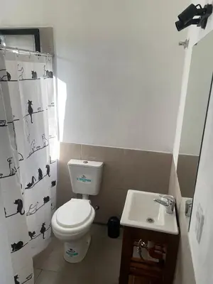 a bathroom with a toilet and a sink at Departamentos M&M in Villa Cura Brochero