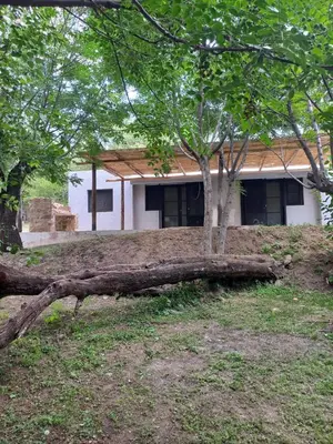 a tree laying on the ground in front of a building at Amaneceres de Cabalango in Cavalango
