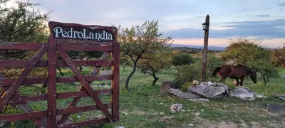 a horse grazing in a field next to a fence at Pedrolandia in Mina Clavero