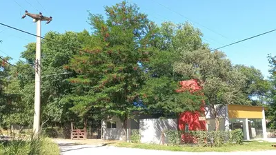 a house with a tree in front of it at La casa del león in San Antonio de Arredondo
