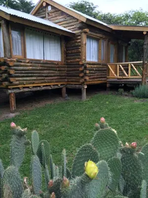 a log cabin with a cactus in front of it at Enkel Cabañas in José de la Quintana