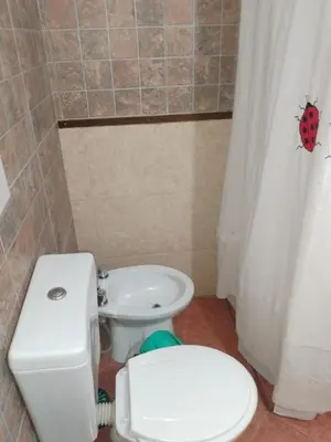a bathroom with a toilet and a sink with a ladybug on the curtain at lodelrafa in San Lorenzo