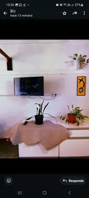 a picture of a table with a plant on it at Departamento katzen in Alta Gracia
