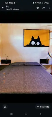 a picture of a cat head on a bed at Departamento katzen in Alta Gracia