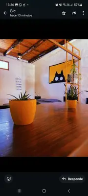 a picture of a room with a table with two plants at Departamento katzen in Alta Gracia