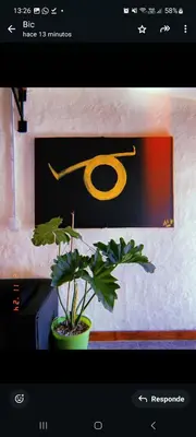 a picture of a potted plant next to a window at Departamento katzen in Alta Gracia