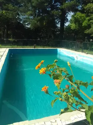 a plant in front of a blue swimming pool at Portal de las sierras in Bialet Massé