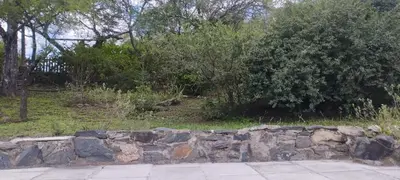 a stone wall in front of a yard with trees at Cabaña La Peulla in Cuesta Blanca