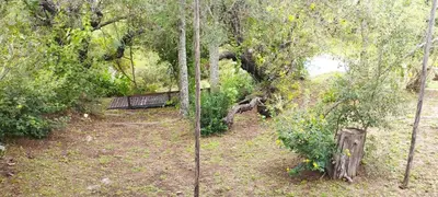 a park with a bench in the middle of trees at Cabaña La Peulla in Cuesta Blanca