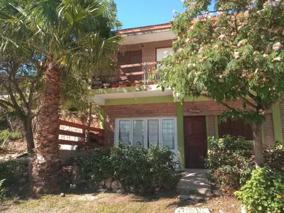 a house with a palm tree in front of it at CHE Camilo in Tanti
