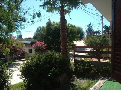 a garden with a fence and a palm tree at CHE Camilo in Tanti
