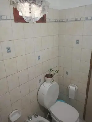 a bathroom with a toilet with a plant on top of it at CHE Camilo in Tanti