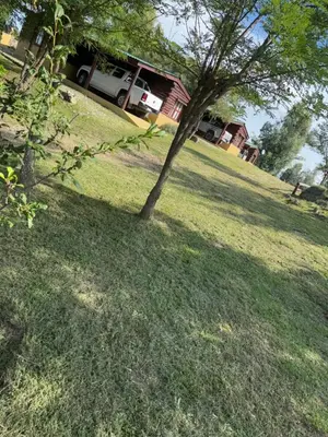 a tree in the middle of a grassy field at Amanecerenunsueñoyacanto in El Durazno