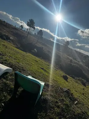 a green chair sitting in a field with the sun at Amanecerenunsueñoyacanto in El Durazno