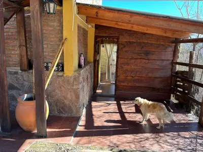 a dog standing in front of a building at La luisa segunda in Villa Parque Siquiman