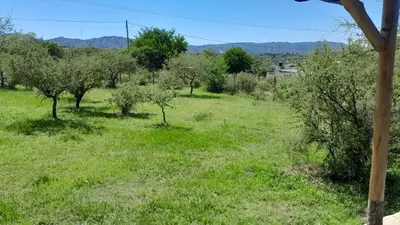 an apple orchard with trees in a field at Mirador de las Sierras in Villa Parque Siquiman
