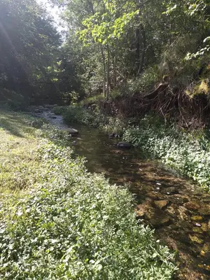 a river with flowers on the side of a field at Elparadorlasbajadas in Las Bajadas