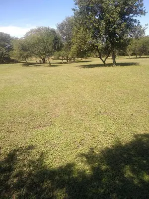 a large field of grass with trees in the background at Elparadorlasbajadas in Las Bajadas