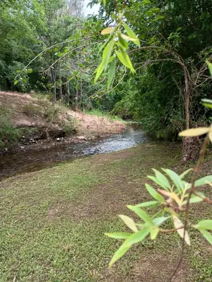a small stream with a riverngth at Elparadorlasbajadas in Las Bajadas