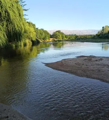 a body of water with a beach and trees at Cabañas MANKU in San Lorenzo