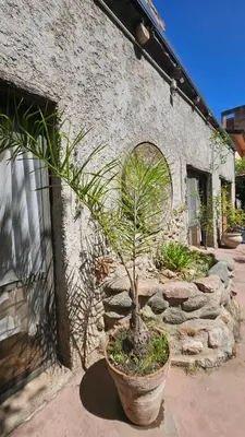 a plant in a pot in front of a building at Balcón de las sierras in Villa Carlos Paz